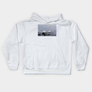 Romantic couple of swans on the Baltic sea Kids Hoodie